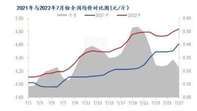多重利好支撐，蛋市“蒸蒸日上”？-上海邦森