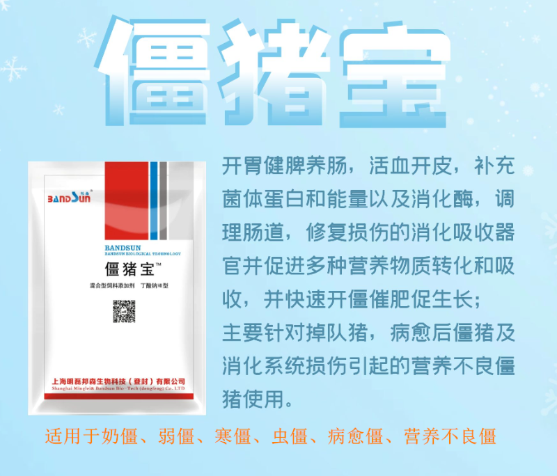 僵豬寶_副本 僵豬寶_副本