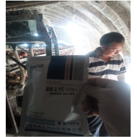 上海邦森速壯丁在蛋禽上的應(yīng)用，看看淮北客戶怎么評價(jià)