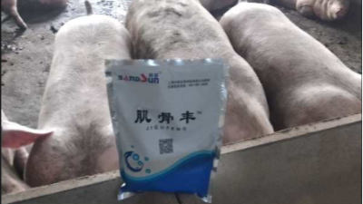 上海邦森肌骨豐豬場提高效益的有效方法，獲得客戶的認(rèn)可