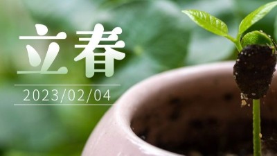 春氣始，萬物生-立春-上海邦森