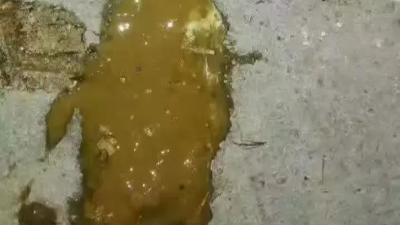 雞拉水樣糞便