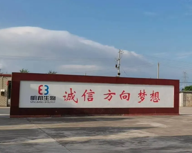 上海明磊邦森 上海明磊邦森